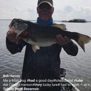 Meet your Posher, Robert